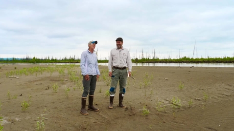 Thumbnail for Succession