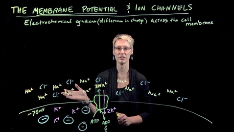 Thumbnail for Membrane Potential