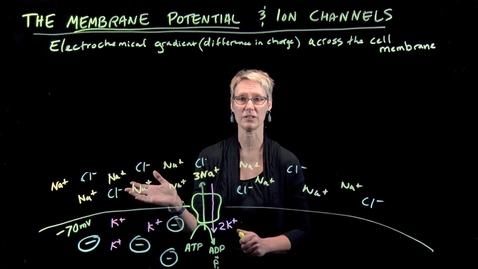 Thumbnail for entry Membrane Potential