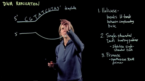 Thumbnail for DNA Replication – Part 2
