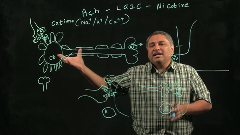 Thumbnail for Biology of Addiction: Summary – From Neurons to Neurotransmitters