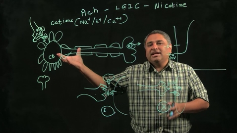 Thumbnail for entry Biology of Addiction: Summary – From Neurons to Neurotransmitters