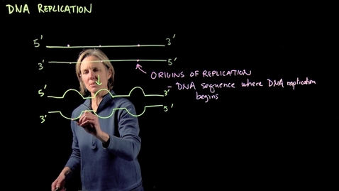 Thumbnail for entry DNA Replication – Part II