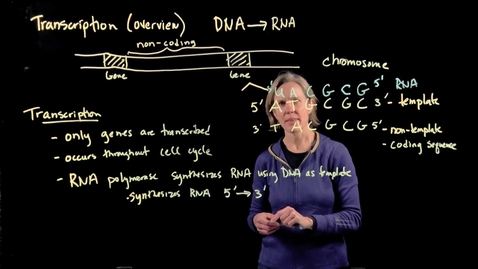 Thumbnail for Introduction to Transcription