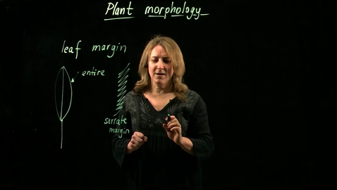 Thumbnail for entry Plant Morphology (Part III)