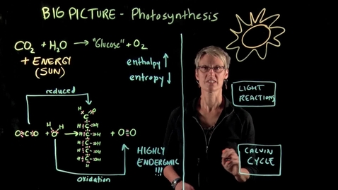 Thumbnail for Photosynthesis – The Big Picture