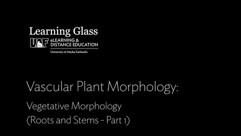 Thumbnail for entry Vegetative Morphology (Part I)