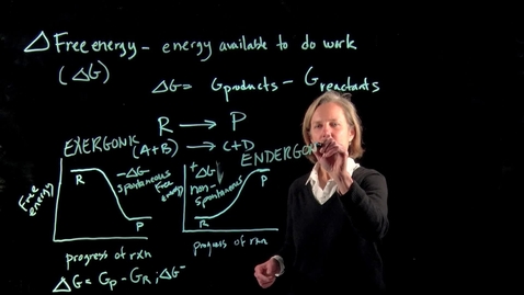 Thumbnail for Gibbs Free Energy