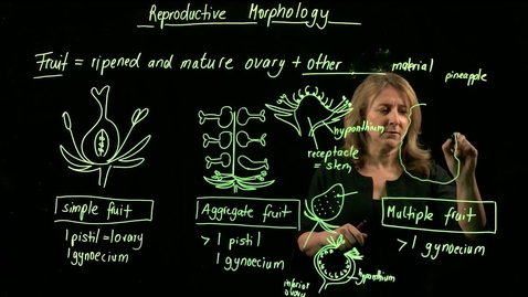 Thumbnail for entry Vascular Plant Morphology: Reproductive Morphology (Fruits, Part I)