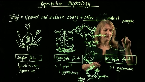 Thumbnail for Vascular Plant Morphology: Reproductive Morphology (Fruits, Part I)