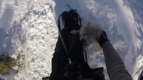 Thumbnail for A Day with Jackson