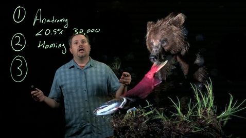 Thumbnail for Salmon 101: Three Things Everyone Should Know About Salmon