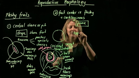 Thumbnail for entry Vascular Plant Morphology: Reproductive Morphology (Fruits, Part V)