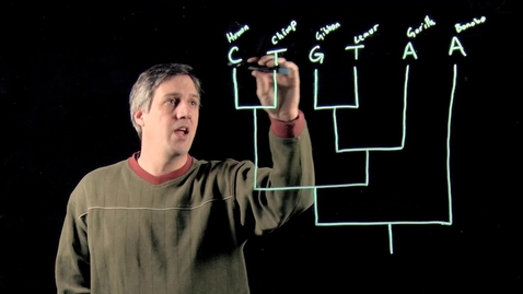 Thumbnail for The Fitch Algorithm