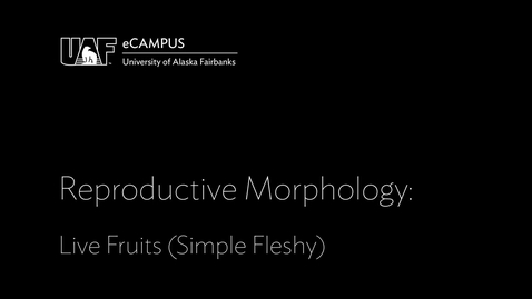 Thumbnail for entry Reproductive Morphology: Live Fruits, Simple Fleshy