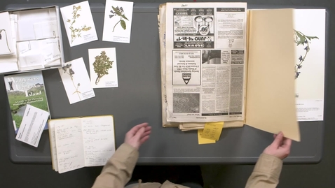 Thumbnail for entry Making Herbarium Specimens: Pressing Plants