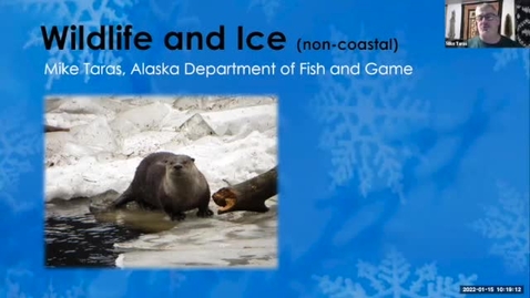 Thumbnail for Wildlife and Ice - Mike Taras