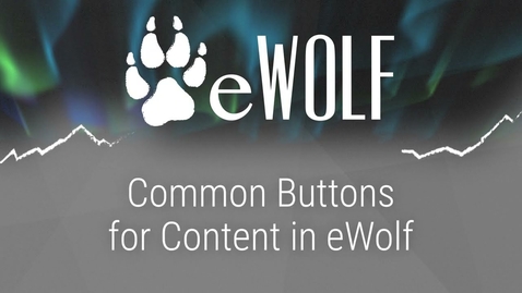 Thumbnail for Common Navigation in eWolf