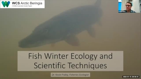Thumbnail for entry Winter Conditions for Fish - Kevin Fraley