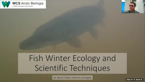 Thumbnail for Winter Conditions for Fish - Kevin Fraley
