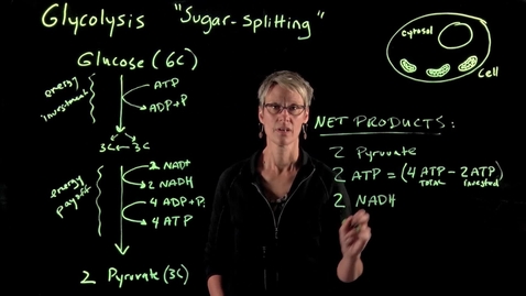 Thumbnail for Glycolysis