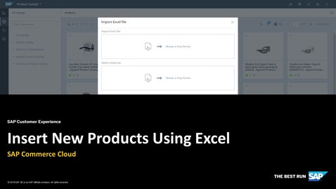 Thumbnail for entry Insert New Products Using Excel - SAP Commerce Cloud