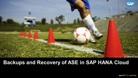 Thumbnail for entry Backups and Recovery of ASE in SAP HANA Cloud