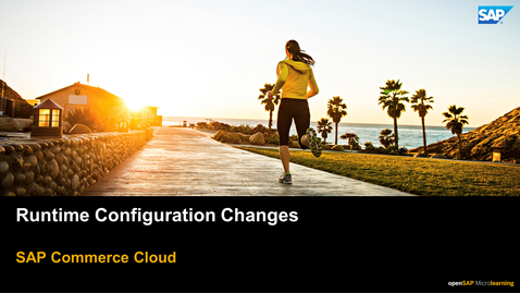 Thumbnail for entry Making Runtime Configuration Changes in Backoffice Framework - SAP Commerce Cloud