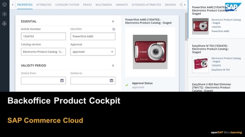 Thumbnail for entry Backoffice Product Cockpit - SAP Commerce Cloud