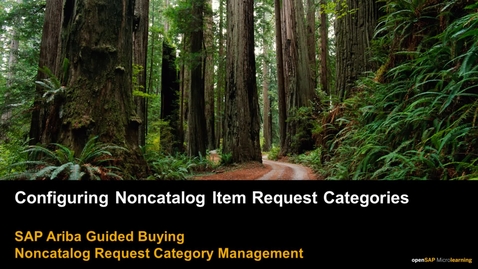 Thumbnail for entry Configuring Noncatalog Item Request Categories - SAP Ariba Guided Buying