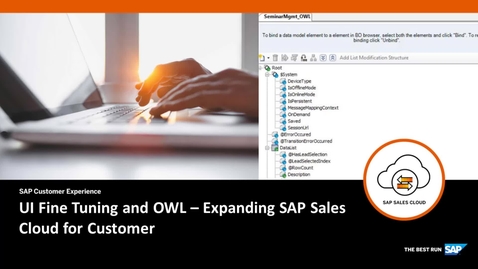 Thumbnail for entry UI Fine tuning and OWL - Extending SAP Cloud for Customer