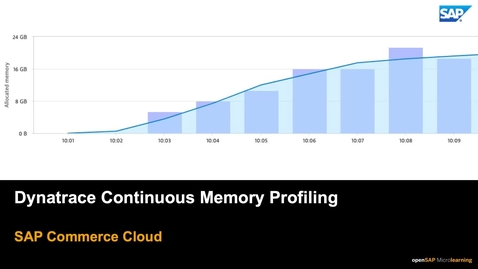 Thumbnail for entry Dynatrace Continuous Memory Profiling - SAP Commerce Cloud