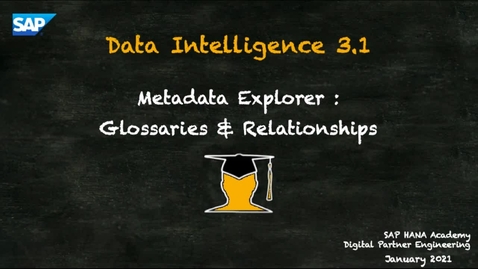 Thumbnail for entry Data Intelligence 4 of 21 - Glossaries &amp; Relationships