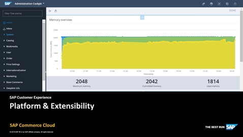 Thumbnail for entry Platform &amp; Extensibility - SAP Commerce Cloud