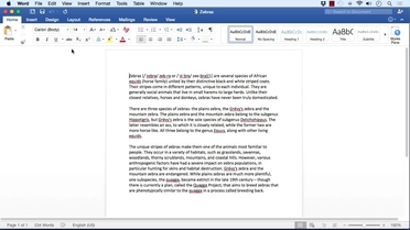 How to do a strikethrough in word