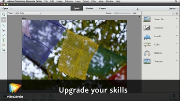 Advanced Image Optimizationtabintroduction To Expert Mode Adobe Photoshop Elements 11 Learn By Video Video