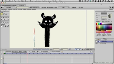Anime Studio Pro 10