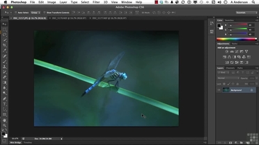 Working With The Zoom Tool Adobe Photoshop Cs6 Video