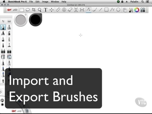 Import And Export Brushes Autodesk Sketchbook Pro 6 For
