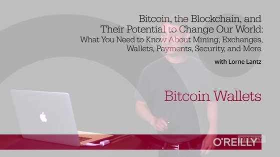 Bitcoin Wallets Bitcoin The Blockchain And Their Potential To - 