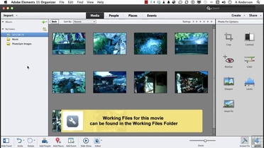 The Adobe Elements Organizer Interface Adobe Photoshop Elements 11 Video