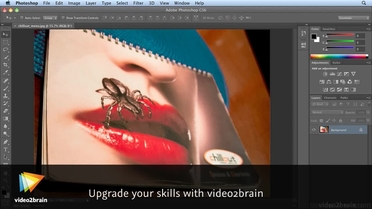 Using Multiple Undos And The History Brush Tool Adobe Photoshop Cs6 Learn By Video Core Training In Visual Communication Video