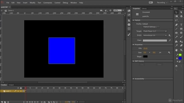 The Paint Bucket And Ink Bottle Tools Adobe Flash Professional Cc Learn By Video Video
