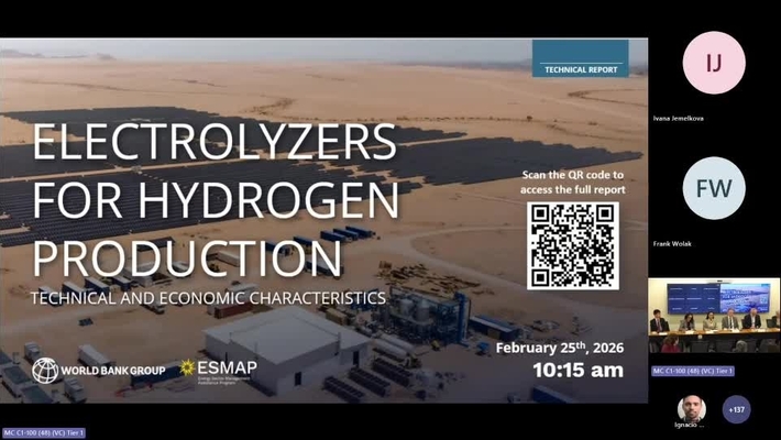 ESMAP Report Launch: Electrolyzers for Hydrogen Production: Technical and Economic Characteristics