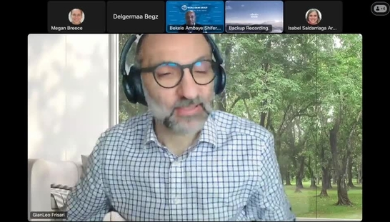  Taxonomy Implementation: Experience and Insights from Emerging Economies