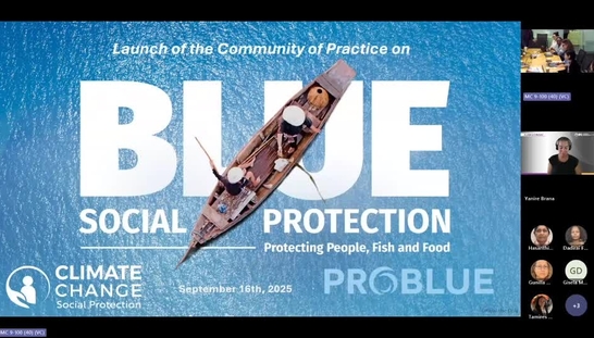 Blue Social Protection Day