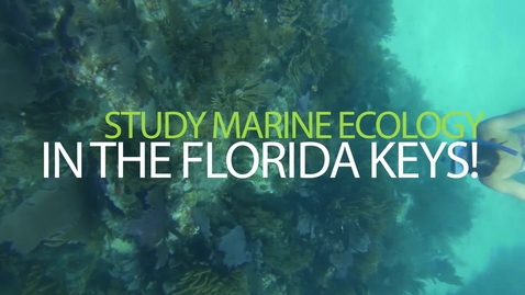 Thumbnail for keys marine lab 2015