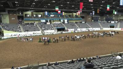 2023 IHSA National Championship Horse Show, 4th May, Part 2