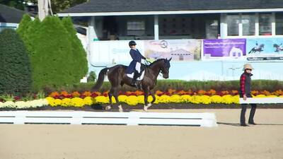 Dressage at Devon - Dixon, October 1st