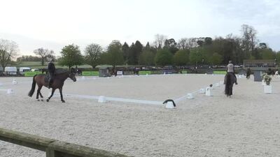 NAF Five Star Winter Dressage Championships 2024, Petplan Arena 2, Addington Equestrian, 10th April